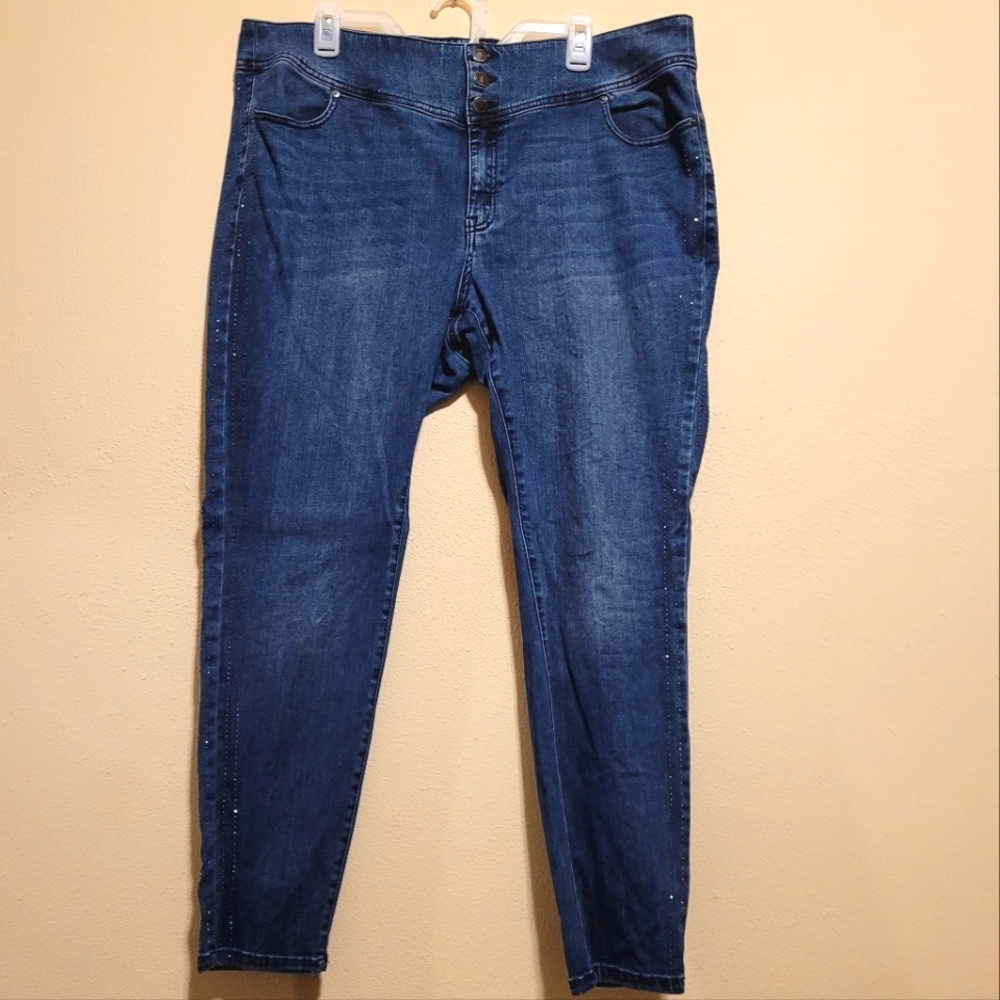 Lane Bryant Jeggings